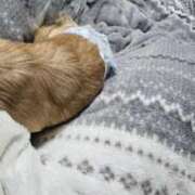 ヒメ日記 2025/12/05 23:50 投稿 あやな 妻天 日本橋店