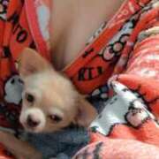 ヒメ日記 2025/12/08 07:00 投稿 あやな 妻天 日本橋店