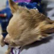 ヒメ日記 2025/12/16 22:20 投稿 あやな 妻天 日本橋店