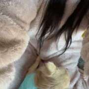 ヒメ日記 2025/12/28 07:50 投稿 あやな 妻天 日本橋店