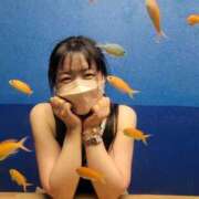 ヒメ日記 2026/01/28 08:29 投稿 あやな 妻天 日本橋店