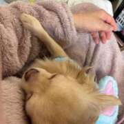 ヒメ日記 2026/02/01 20:41 投稿 あやな 妻天 日本橋店