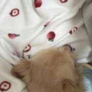 ヒメ日記 2026/02/15 22:30 投稿 あやな 妻天 日本橋店