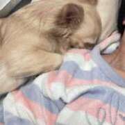 ヒメ日記 2026/03/12 22:30 投稿 あやな 妻天 日本橋店