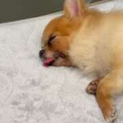 ヒメ日記 2026/03/18 10:20 投稿 あやな 妻天 日本橋店