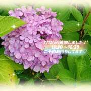 ヒメ日記 2026/07/12 12:10 投稿 ミソラ オトナのマル秘最前線!!