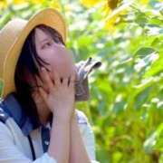 ヒメ日記 2026/08/16 12:26 投稿 ◆すずね◆ 広島超性感マッサージ倶楽部 マル秘世界