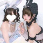 よみ 色違いバニー🐰 アイドルドリーム