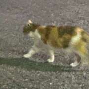 ヒメ日記 2026/08/19 12:06 投稿 みよん ドリーム水戸