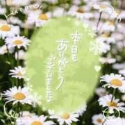 ヒメ日記 2026/05/20 19:28 投稿 かおるこさん いけない奥さん 十三店