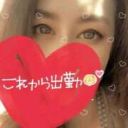 ヒメ日記 2026/08/20 08:18 投稿 かおるこさん いけない奥さん 十三店