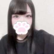あんり・SP 😶‍🌫️ やまとなでしこ桜組