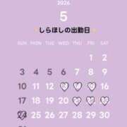 ヒメ日記 2026/05/14 20:21 投稿 しらほし Rose(大阪)