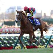 ヒメ日記 2026/10/04 19:08 投稿 ゆの☆黒髪ショートナース ナースです!