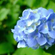 ヒメ日記 2026/06/17 14:08 投稿 みやび■セクシー系ナース ナースです!