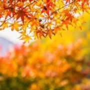 ヒメ日記 2026/10/08 13:23 投稿 みやび■セクシー系ナース ナースです!