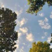 ヒメ日記 2026/10/14 23:49 投稿 あおい The White（ザ ホワイト）