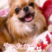 ヒメ日記 2026/05/30 12:18 投稿 平野 夢 昼妻夜 滋賀店