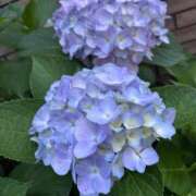 ヒメ日記 2026/06/04 18:57 投稿 平野 夢 昼妻夜 滋賀店