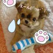 平野 夢 タイミング合わず(´・ω・`)💦 昼妻夜 滋賀店
