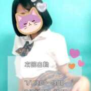 りこ チェック🔍 密着アロマにゃんにゃんSPA