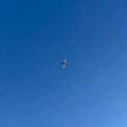 ゆう【爆乳】【ぱいずり天使】 みてみて〜✈️ どMばすたーず すすきの店
