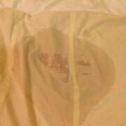 ヒメ日記 2026/09/14 09:48 投稿 あいは 丸妻 新横浜店