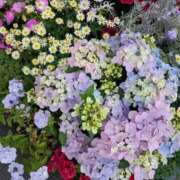 ヒメ日記 2026/05/16 15:55 投稿 今日子(きょうこ) PLUS東大阪店（高井田・長田）
