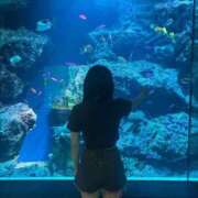 ヒメ日記 2026/08/12 19:53 投稿 コハク MEGA PALACE(メガパレス）