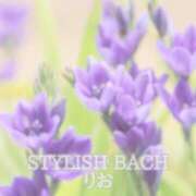 ヒメ日記 2026/06/07 11:42 投稿 莉桜/りお　centu STYLISH BACH