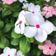 莉桜/りお　centu 成長のために必要なこと。 STYLISH BACH