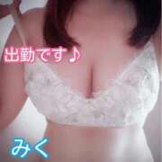 ヒメ日記 2026/05/19 10:43 投稿 みく【結】 恵比寿コレクション　久留米本店
