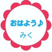 ヒメ日記 2026/05/28 09:03 投稿 みく【結】 恵比寿コレクション　久留米本店