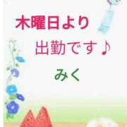 ヒメ日記 2026/07/07 13:13 投稿 みく【結】 恵比寿コレクション　久留米本店