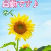 ヒメ日記 2026/07/12 10:43 投稿 みく【結】 恵比寿コレクション　久留米本店