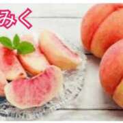 ヒメ日記 2026/07/14 14:13 投稿 みく【結】 恵比寿コレクション　久留米本店