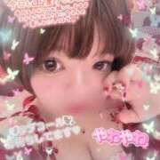 ヒメ日記 2026/09/15 12:10 投稿 ちづる 奥様さくら日本橋店