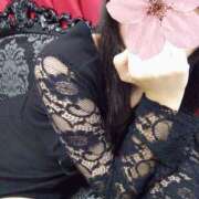 ヒメ日記 2026/09/14 08:53 投稿 リム VIVIDCREW十三店