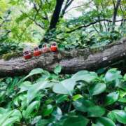 ヒメ日記 2026/05/17 07:42 投稿 さつき 梅田アバンチュール