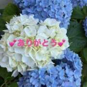 ヒメ日記 2026/07/02 12:42 投稿 近松紗千子 五十路マダム愛されたい熟女たち 津山店
