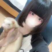 ヒメ日記 2026/09/09 14:40 投稿 てれさ ピンクコレクションBabyキタ兎我野店