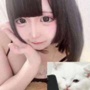ヒメ日記 2026/09/15 19:20 投稿 てれさ ピンクコレクションBabyキタ兎我野店