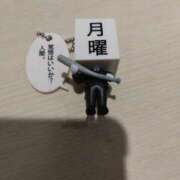ヒメ日記 2026/06/19 21:42 投稿 堀切れいな 五十路マダム 新潟店(カサブランカグループ)