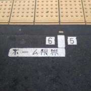 ヒメ日記 2026/06/28 14:02 投稿 堀切れいな 五十路マダム 新潟店(カサブランカグループ)