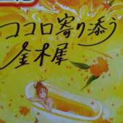 ヒメ日記 2026/08/12 02:50 投稿 堀切れいな 五十路マダム 新潟店(カサブランカグループ)