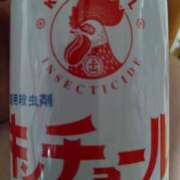 ヒメ日記 2026/09/07 01:42 投稿 堀切れいな 五十路マダム 新潟店(カサブランカグループ)