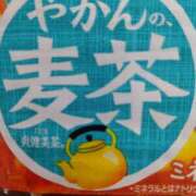 ヒメ日記 2026/09/12 19:40 投稿 堀切れいな 五十路マダム 新潟店(カサブランカグループ)