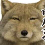 ヒメ日記 2026/08/13 21:51 投稿 ひゆな ∞ (はっち)