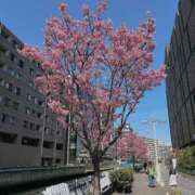 ヒメ日記 2026/08/19 21:29 投稿 渚カレン ファンタジアルージュ五反田