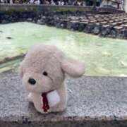ヒメ日記 2026/06/03 07:26 投稿 Kobato THE PREMIUM （プレミアム）